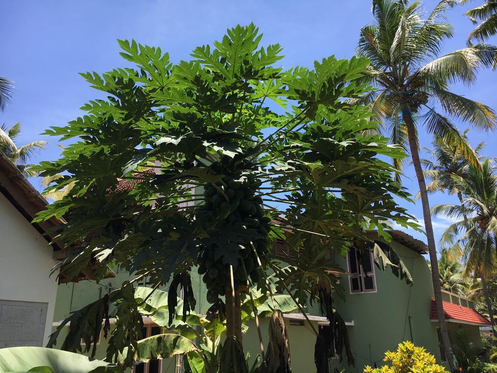Divine Bliss Beach Resort Varkala Buitenkant foto