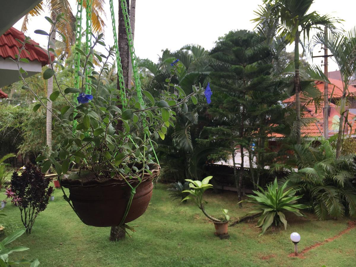 Divine Bliss Beach Resort Varkala Buitenkant foto