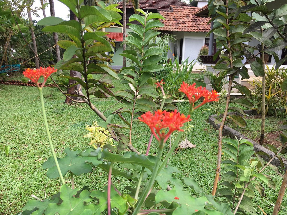 Divine Bliss Beach Resort Varkala Buitenkant foto