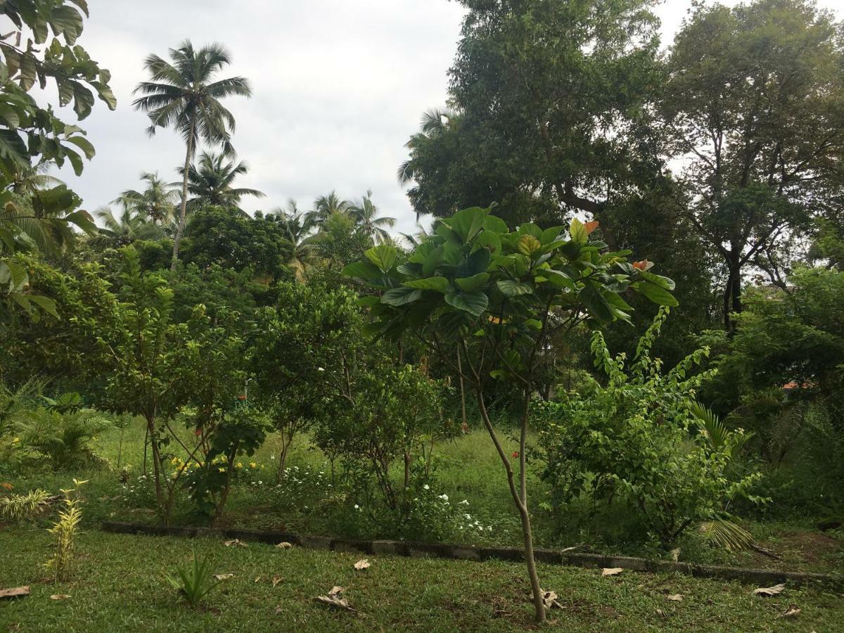 Divine Bliss Beach Resort Varkala Buitenkant foto