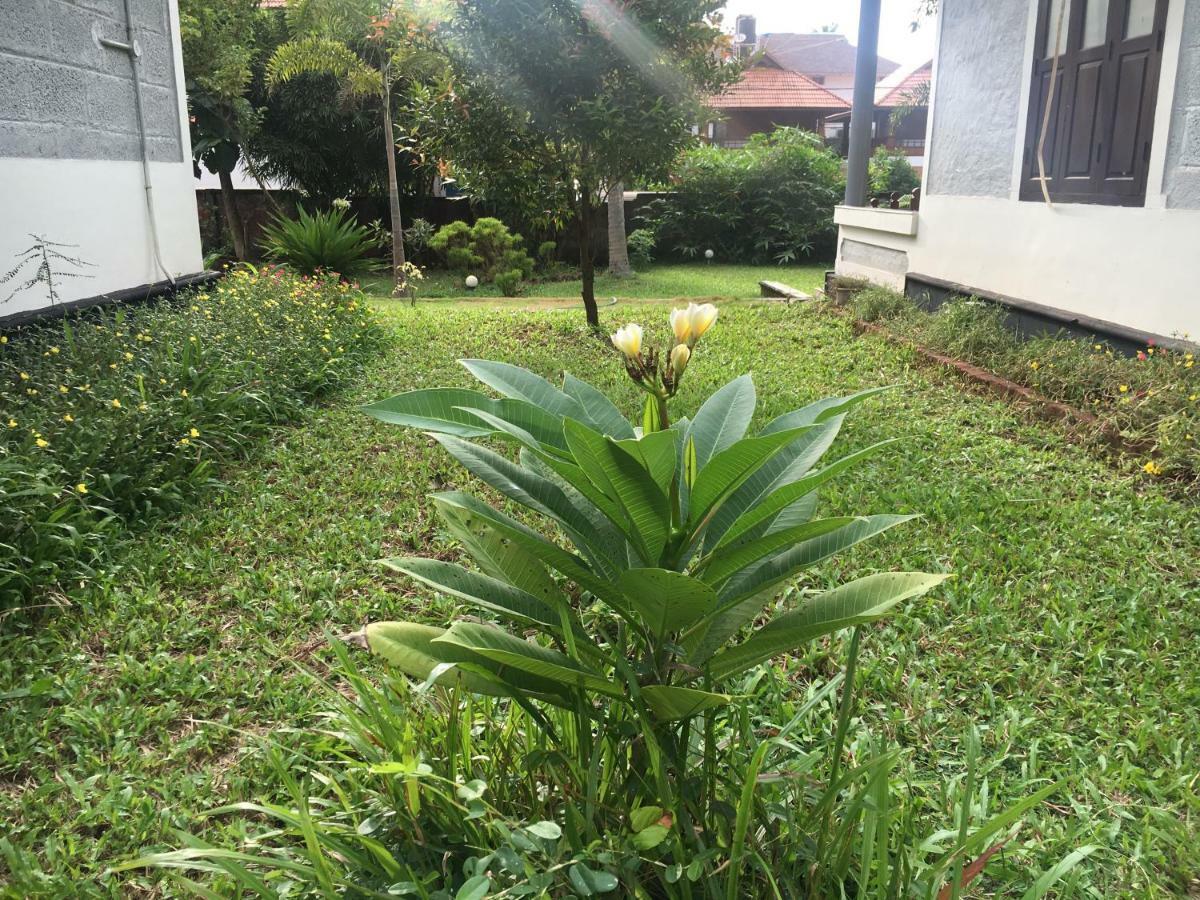 Divine Bliss Beach Resort Varkala Buitenkant foto