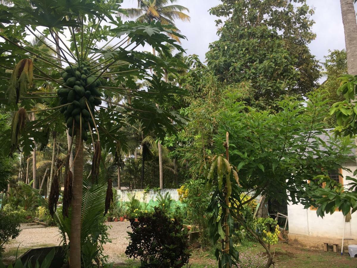 Divine Bliss Beach Resort Varkala Buitenkant foto