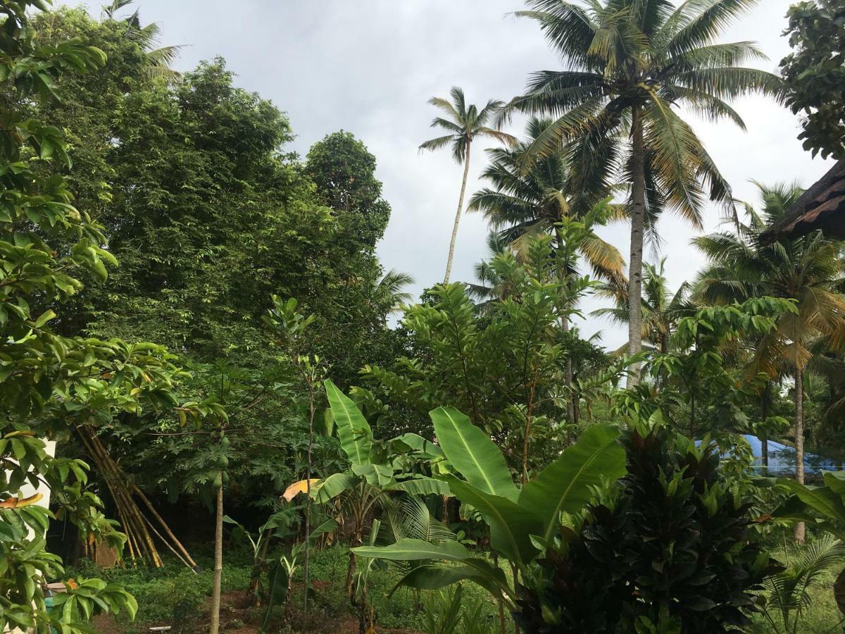 Divine Bliss Beach Resort Varkala Buitenkant foto