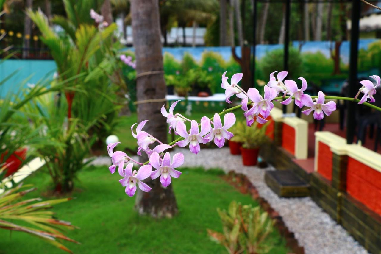 Divine Bliss Beach Resort Varkala Buitenkant foto